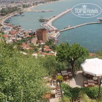 фото из отзыва ID 938220