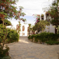 фото из отзыва ID 93926