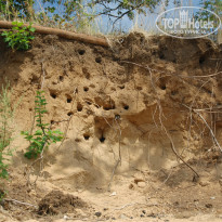 фото из отзыва ID 939576