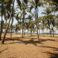 фото из отзыва ID 939616