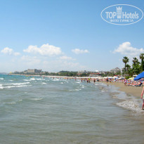 фото из отзыва ID 939787