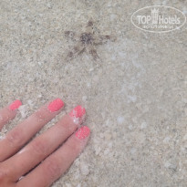 фото из отзыва ID 939944