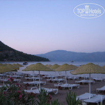 фото из отзыва ID 94067