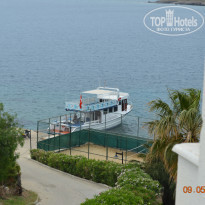 фото из отзыва ID 940005