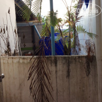 фото из отзыва ID 940030