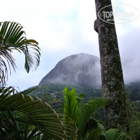 фото из отзыва ID 940241