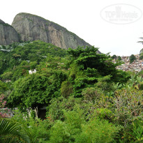 фото из отзыва ID 940241