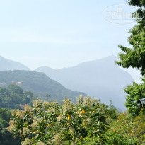 фото из отзыва ID 940245