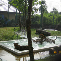 фото из отзыва ID 940414