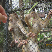 фото из отзыва ID 940414