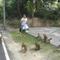 фото из отзыва ID 940414