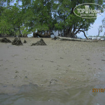 фото из отзыва ID 940414