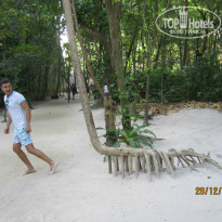 фото из отзыва ID 940414