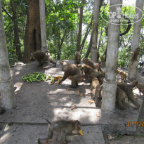 фото из отзыва ID 940414