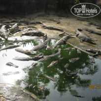 фото из отзыва ID 940414