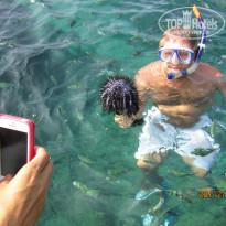 фото из отзыва ID 940414