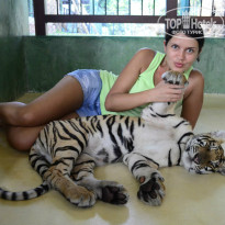 фото из отзыва ID 940414