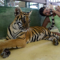 фото из отзыва ID 940414