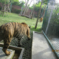 фото из отзыва ID 940414