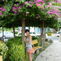 фото из отзыва ID 940632