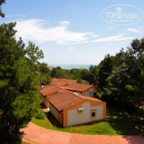 фото из отзыва ID 940918