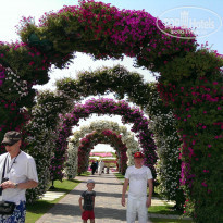 фото из отзыва ID 940998