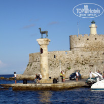 фото из отзыва ID 941010