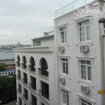 фото из отзыва ID 941035