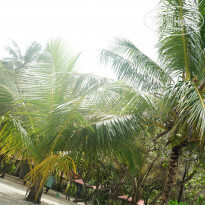 фото из отзыва ID 941100