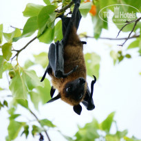 фото из отзыва ID 941100