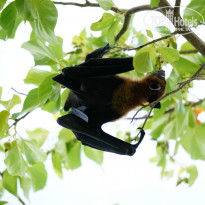 фото из отзыва ID 941100