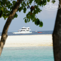 фото из отзыва ID 941100