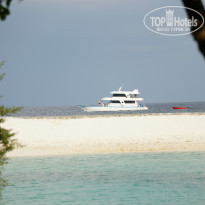 фото из отзыва ID 941100