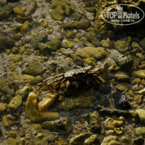 фото из отзыва ID 941100