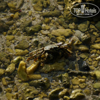 фото из отзыва ID 941100