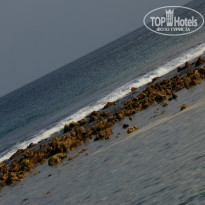 фото из отзыва ID 941100