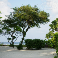 фото из отзыва ID 941100