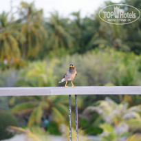 фото из отзыва ID 941100