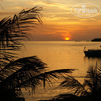 фото из отзыва ID 941100