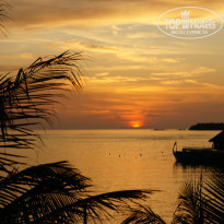 фото из отзыва ID 941100