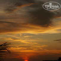 фото из отзыва ID 941100