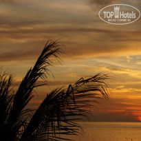 фото из отзыва ID 941100