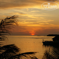 фото из отзыва ID 941100