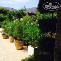 фото из отзыва ID 941152