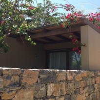 фото из отзыва ID 941152