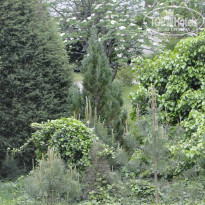 фото из отзыва ID 941510