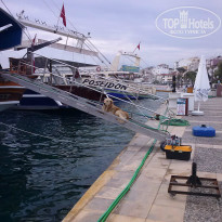 фото из отзыва ID 941543