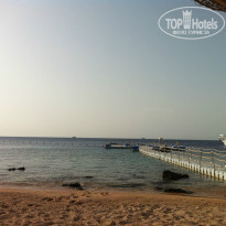 фото из отзыва ID 941635