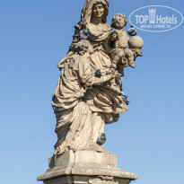 фото из отзыва ID 941894