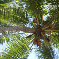 фото из отзыва ID 942302